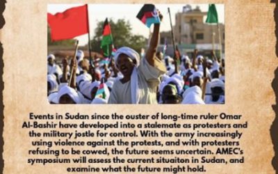 THE DECEMBER 2018 REVOLUTION AND SUDANESE PROFESSIONALS IN THE DIASPORA: REFLECTIONS FROM A RELUCTANT ACTIVIST